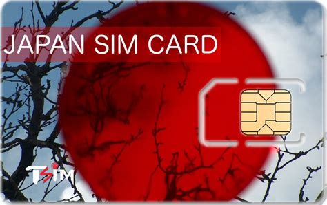 smart sim card roaming in japan|best sim card provider in japan.